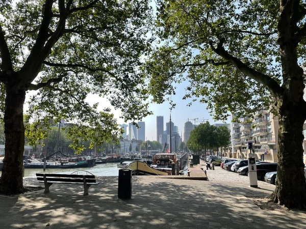 Hollanda 'daki Rotterdam' ın eski limanı ve silueti