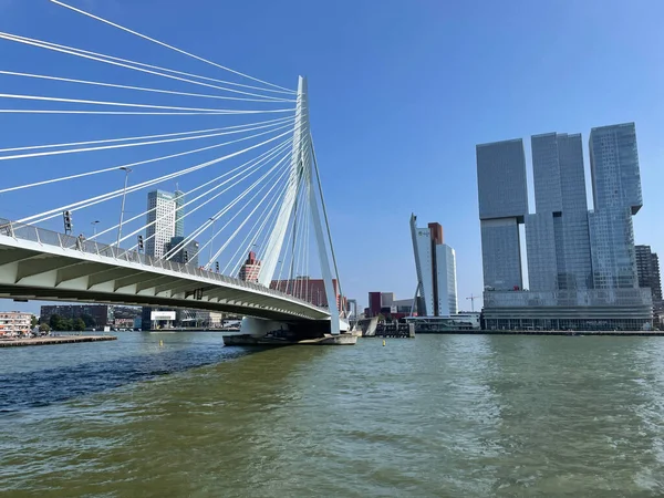 Skyline Rotterdam Avec Pont Erasmus Sur Canal Nieuwe Maas Aux — Photo