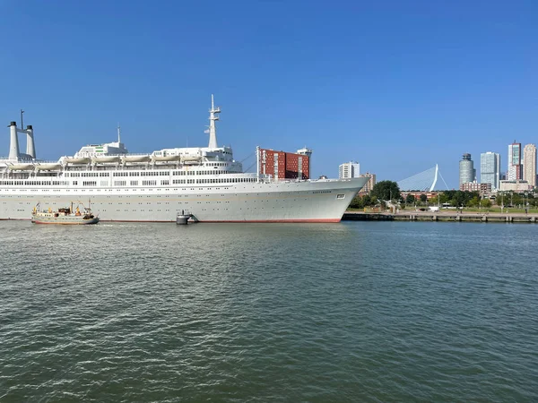 Rotterdam Silueti Erasmus Köprüsü Hollanda Daki Rotterdam Kruvazörü — Stok fotoğraf