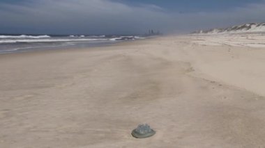 Deniz anası ve plaj ile arka plan oteller gold coast, queensland, Avustralya