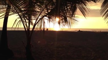 Kosta Rika 'daki Jaco plajında gün batımı