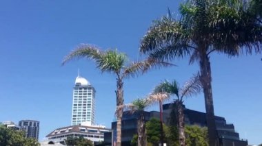 Takapuna Auckland, Yeni Zelanda