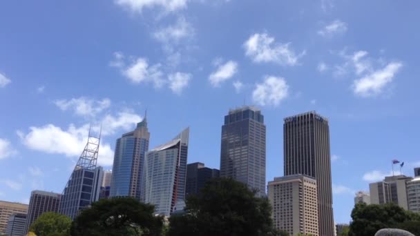 Sydney skyline from the botanica gardens in Australia — Stock Video