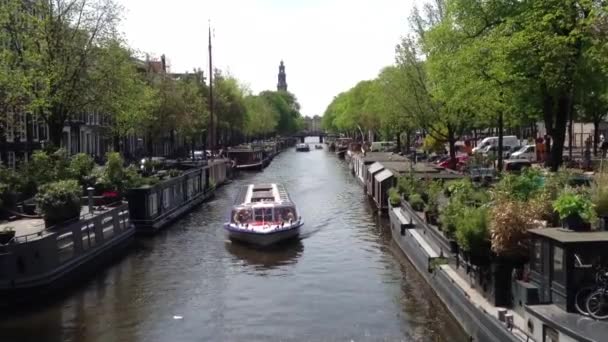 Cruzeiro pelo canal em Amsterdã com barcos vivos nos canais — Vídeo de Stock