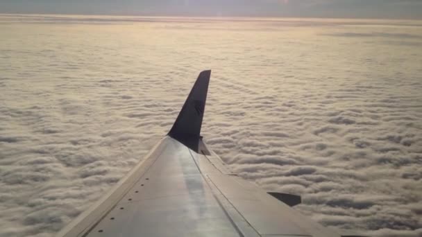 Vliegen boven de wolken met een Egyptisch vliegtuig — Stockvideo