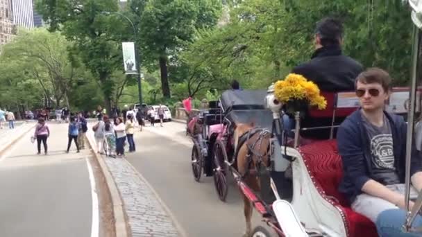 Paard en vervoer met toeristen in Central Park New York City, Verenigde Staten — Stockvideo