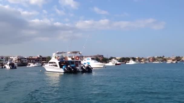 Leaving harbour Santa Cruz, Galapagos Islands, Ecuador — Stock Video