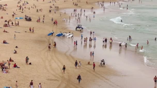 Praia de Bondi Sydney, Austrália — Vídeo de Stock