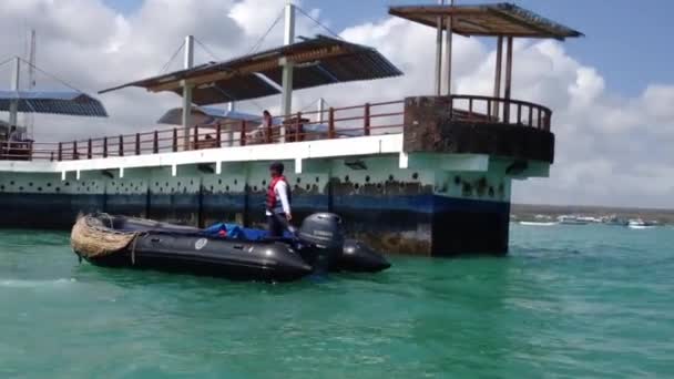 Sjötaxibilar i hamnen i Santa Cruz, Galapagosöarna, Ecuador — Stockvideo