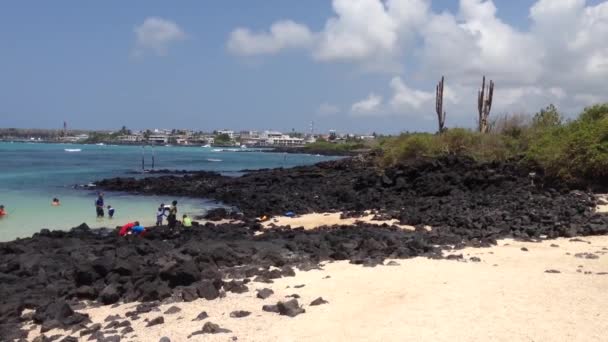Stranden i santa cruz, Galapagosöarna, ecuador — Stockvideo