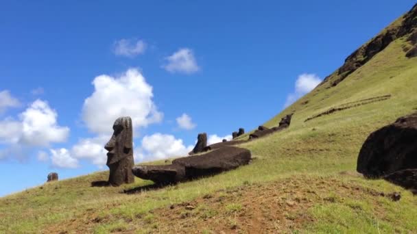 Maoi in Rano Raraku, Paaseiland, Rapa Nui — Stockvideo