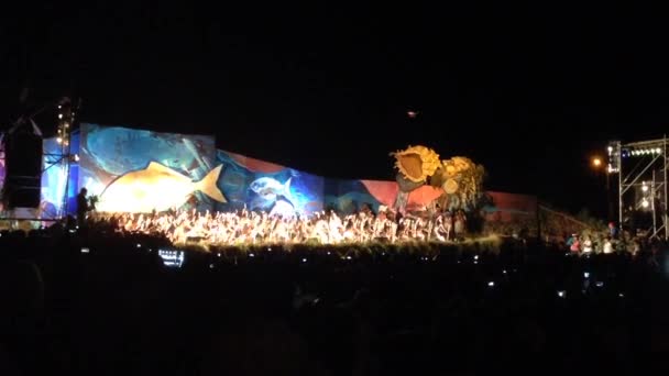 Festival de Tapati en la noche en la Isla de Pascua, Rapa Nui — Vídeo de stock