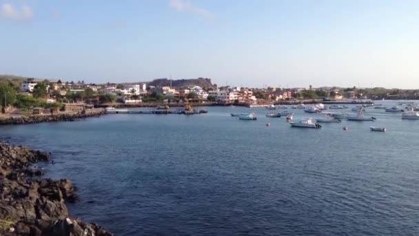 San Cristobal, Galapagos Eilanden, Ecuador — Stockvideo