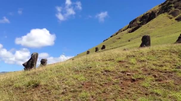 Maoi w Rano Raraku, Wyspa Wielkanocna, Rapa Nui — Wideo stockowe