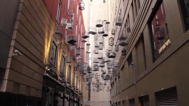 Vogelkästen-Kunst in Sydney, Australien — Stockvideo