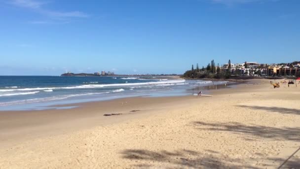 Maroochy beach Eastern Australia — Stock Video