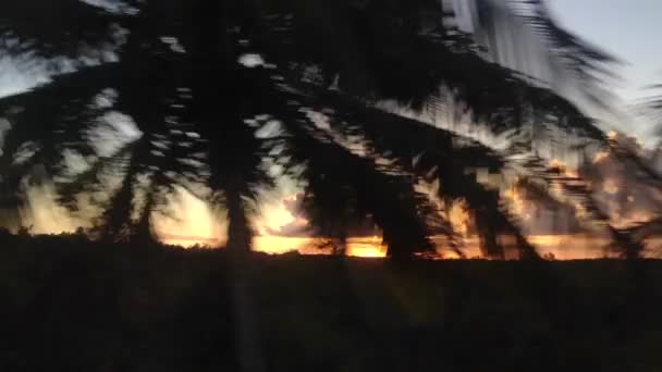 Körning genom Kuba under solnedgången — Stockvideo
