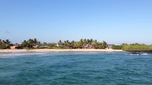 Plaża Isabela, Wyspy Galapagos, Ekwador — Wideo stockowe