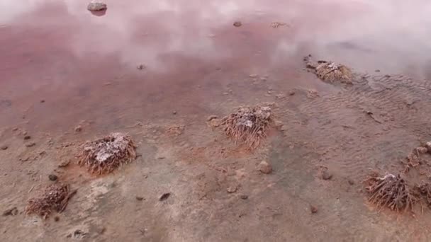 Różowe jezioro blisko kalbarri, australia Zachodnia — Wideo stockowe