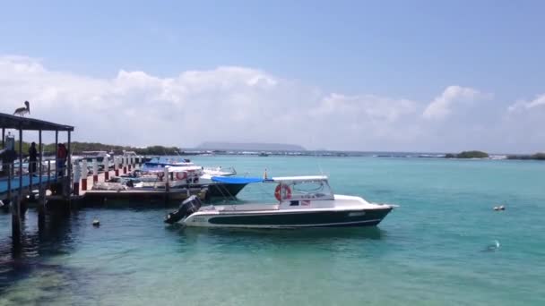 Boten in de haven Isabela, Galapagos Eilanden, Ecuador — Stockvideo