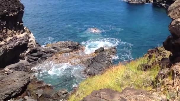 Ana Kai Tangata grotta Isola di Pasqua, Rapa Nui — Video Stock
