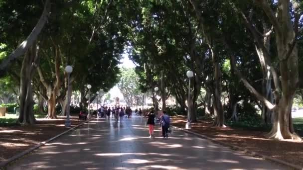 Personnes marchant dans hide park, Sydney, Australie — Video