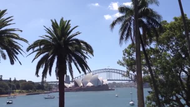 Sydney opera house od ogrodu botanica w Stany Zjednoczone Ameryki — Wideo stockowe