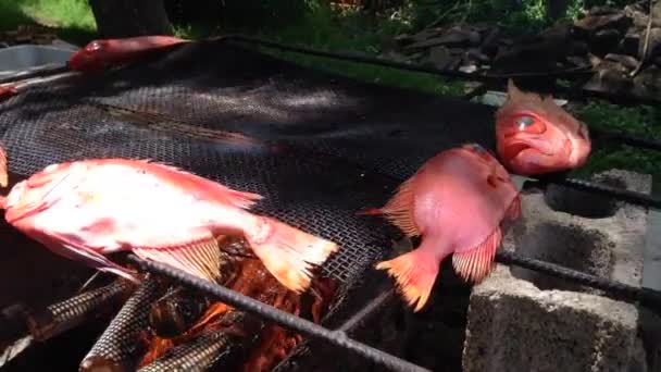 Рыба на острове Пасхи, Рапа Нуи — стоковое видео