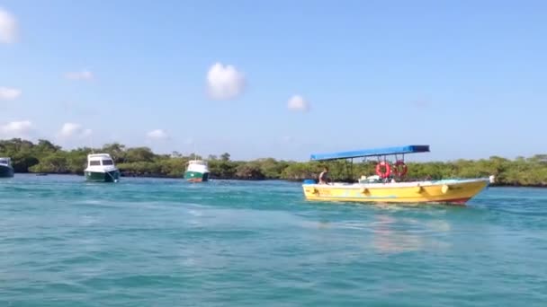 Water taxi at Isabela the Galapagos Islands, Ecuador — Stock Video