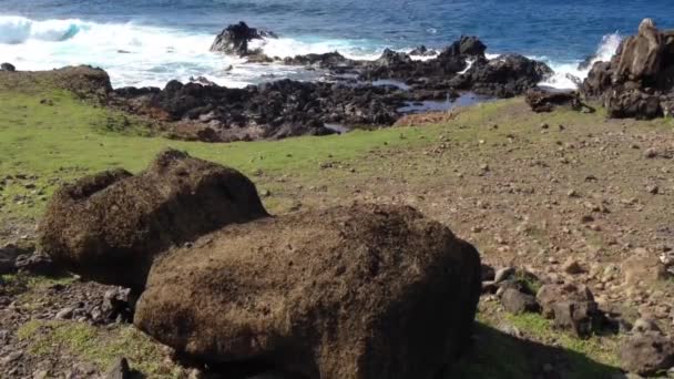 イースター島の海の近くの地面にMoai 、ラパヌイ — ストック動画