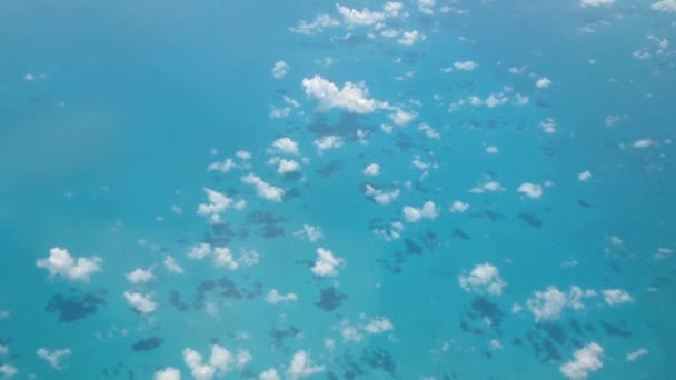 Flying above the Caribbean sea — Stock Video