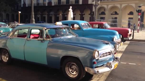 Κλασικά αυτοκίνητα στο κέντρο της Αβάνας, Κούβα — Αρχείο Βίντεο