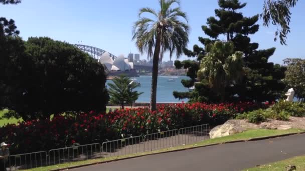 Ópera de Sídney desde los jardines botánicos de Australia — Vídeos de Stock