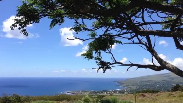 Hanga Roa Osterinsel, rapa nui — Stockvideo