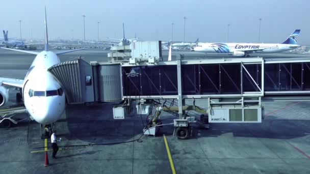 Cairo aeroporto, Egito Air Airplane no portão — Vídeo de Stock