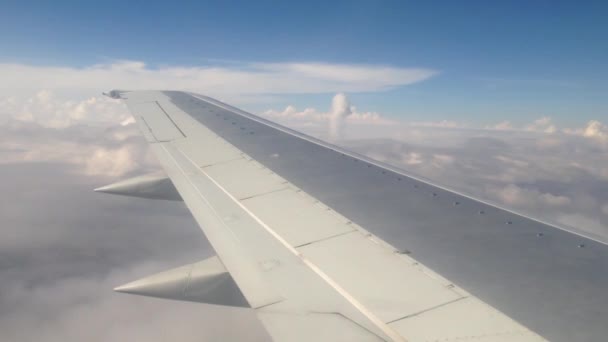 玻利维亚以上飞行 — 图库视频影像