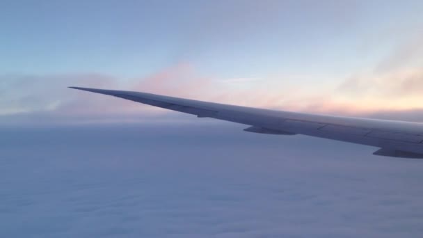 Летят сквозь облака на закате — стоковое видео