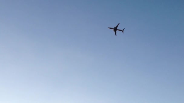 Avión volando en un cielo azul claro en Houston — Vídeos de Stock