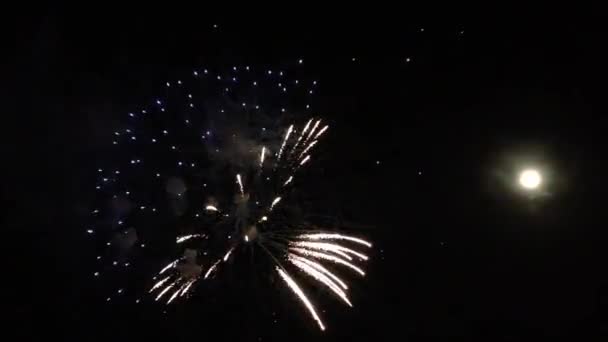 Tűzijáték a Húsvét-szigeti Tapati fesztiválon, Rapa Nui — Stock videók