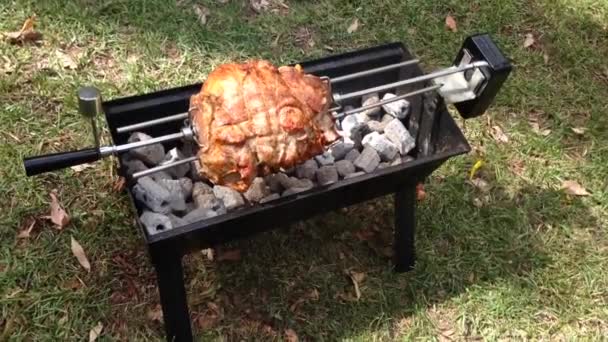 Pork meat on a barbecue in a park in Australia — Stock Video