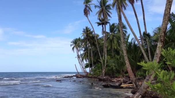 Bocas del Toro Inseln, Panama — Stockvideo