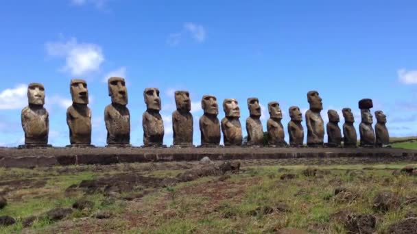 Ahu Tongariki Moai at the Easter Island, Rapa Nui — Stock Video