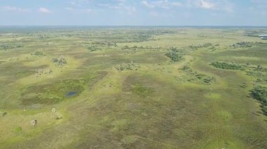 Botswana 'daki Okavango Deltası üzerinde uçuyor.