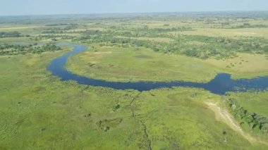 Botswana 'daki Okavango Deltası üzerinde uçuyor.