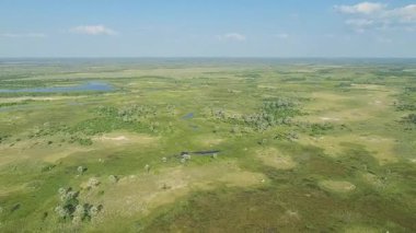 Botswana 'daki Okavango Deltası üzerinde uçuyor.