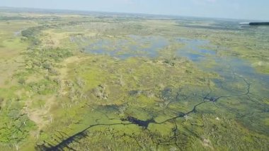 Botswana 'daki Okavango Deltası üzerinde uçuyor.