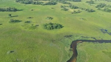 Botswana 'daki Okavango Deltası üzerinde uçuyor.