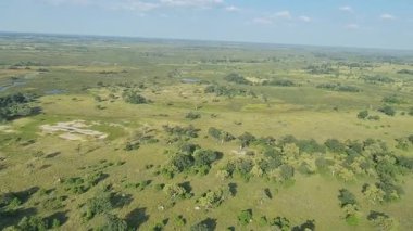 Botswana 'daki Okavango Deltası üzerinde uçuyor.