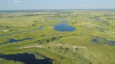 Botswana 'daki Okavango Deltası üzerinde uçuyor.