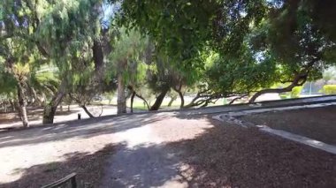 Las Palmas de Gran _ Canaria 'daki Doramas Parkı' nda yürüyüş